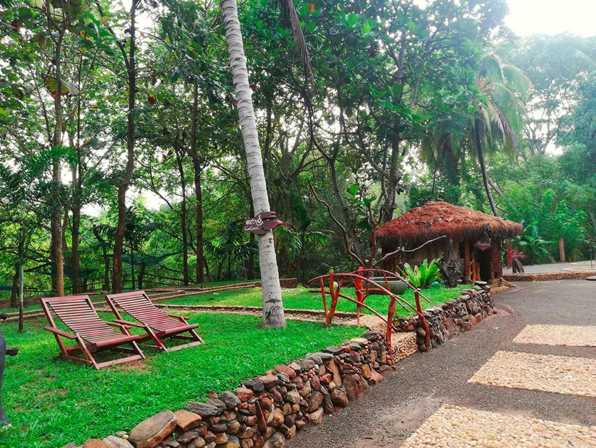 Atha Safari Resort & Riverside Camping 达瓦拉维 外观 照片